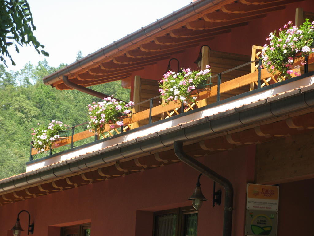 Farm stay Bosco Romagno *